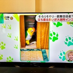 美品 シャープAQUOS LC-50U45 4K対応液晶テレビの画像