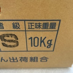 三日日みかんの画像