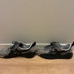 オニツカタイガー 28cm　アクロモント　28cmの画像