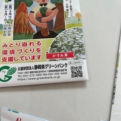 アリッサム５袋、かすみ草１１袋　種セットGypsophilaとAlyssum 種の画像