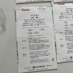 アリッサム５袋、かすみ草１１袋　種セットGypsophilaとAlyssum 種の画像