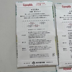 アリッサム５袋、かすみ草１１袋　種セットGypsophilaとAlyssum 種の画像