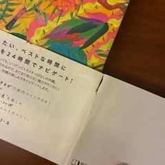 沖縄 ガイドブック　美品の画像