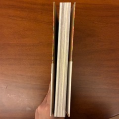 沖縄 ガイドブック　美品の画像