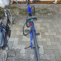 クロスバイク　アコルデ 700C 外装7段変速 ACR7007-II-460の画像