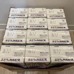 お買い得‼️カルピス ぶどう 12個入りの画像
