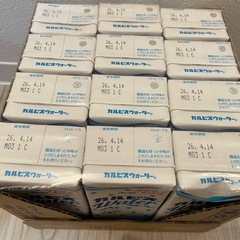 お買い得‼️ カルピス12本入の画像