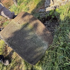 コンクリートの水入れ、もらってください！の画像