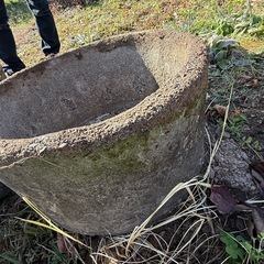 コンクリートの水入れ、もらってください！の画像