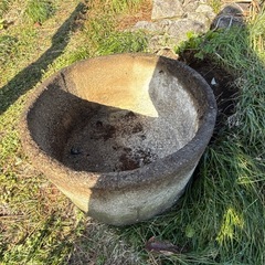 コンクリートの水入れ、もらってください！の画像