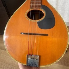ジャンボマンドリン ビンテージ品 66cmの画像