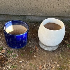 植木鉢貰ってくださいの画像