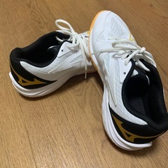 ランニングシューズの画像