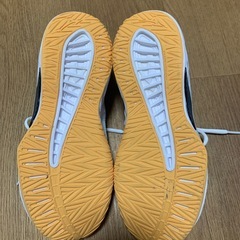 ランニングシューズの画像