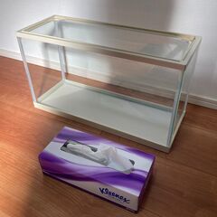 水槽 コンパクト ホワイト 幅45×奥行17×高さ25㎝の画像