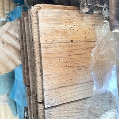 新品フローリング板差し上げます。の画像