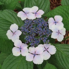 ネイルお安くしたい方💅★*