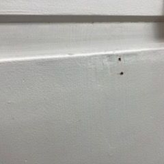 ID:709751　収納棚　※現状の画像