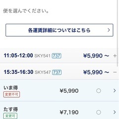 沖縄▶︎宮古島   往復の画像