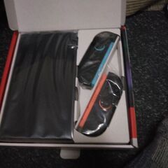 一名限定　Switch　購入日11月29日の画像