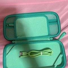 葉っぱ模様のNintendo Switchケースの画像