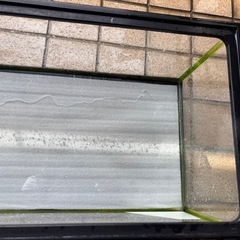 お取引き決まりました　　※取りに来ていただける方限定水槽の画像