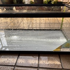 お取引き決まりました　　※取りに来ていただける方限定水槽の画像