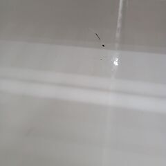 ★リユースのサカイ水戸店★ TWINBIRD 電子レンジ  18年製 動作確認／クリーニング済み MT6624の画像