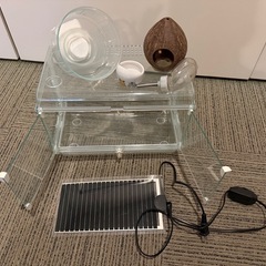 ハムスター　飼育セットの画像