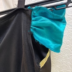 アナ雪　ドレスの画像