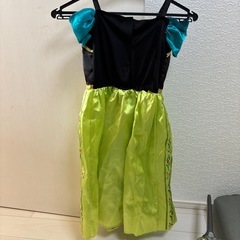 アナ雪　ドレスの画像