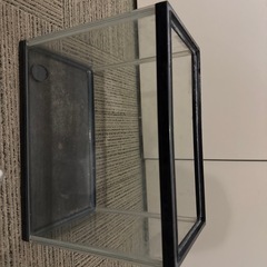 アクアリウムセット②の画像