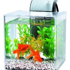 Tetra　金魚メダカ用水槽、フィルター付き プラスチック製　小さいサイズの画像
