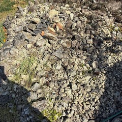 裏庭の石、もらってください！の画像