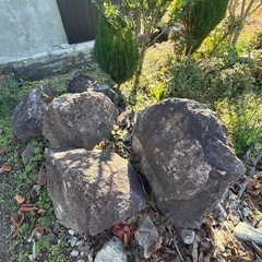 裏庭の石、もらってください！の画像