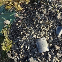 裏庭の石、もらってください！の画像