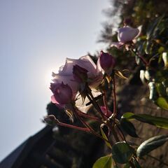 ひきこもりの友達探し