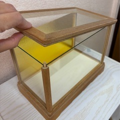 人形ケース　木　ガラス　　　　　の画像