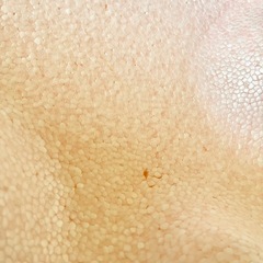 リッチェル ひんやりしないおふろマット      バスマットの画像