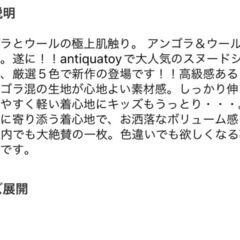 GUロンT3点とantiquaスヌード1点の画像