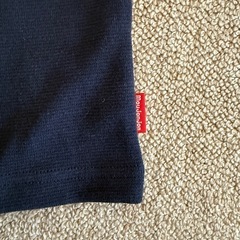 moujonjon 動物刺繍Tシャツ・ロンT 90cmの画像