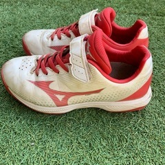 21cm スパイク・トレシューの画像