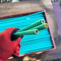 ダンポール？60cm いくらでも持っていってくださいの画像