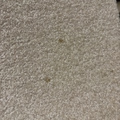 タイルカーペットの画像