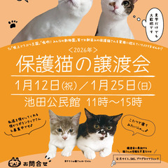  NECOAS 保護猫の譲渡会　静岡市駿河区　2026/1…