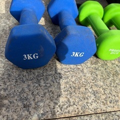 ダンベル全部
の画像