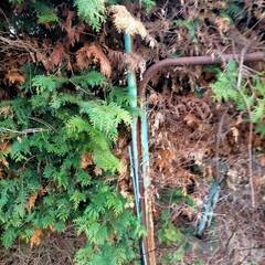 鉄くずとして 洗濯物干し 無料です。の画像