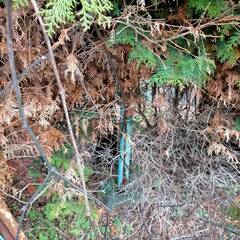 鉄くずとして 洗濯物干し 無料です。の画像