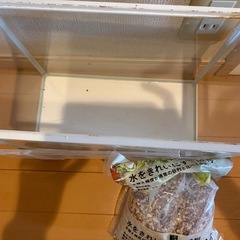 ［無料］小型の水槽の画像