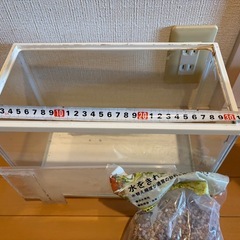 ［無料］小型の水槽の画像
